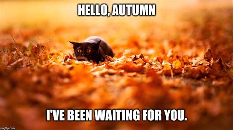 hello fall meme